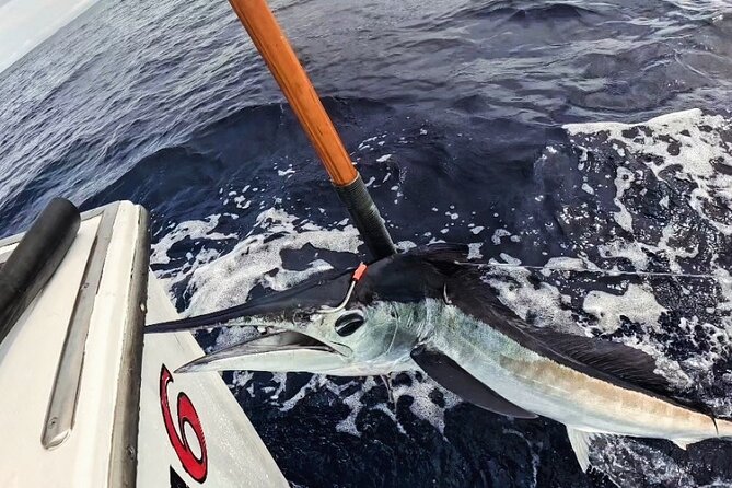 Kona Hawaii Deep Sea Fishing Escapade on the Bite Me 6 - Onboard Comfort and Family-Friendly Vibes with Up to 6 Anglers