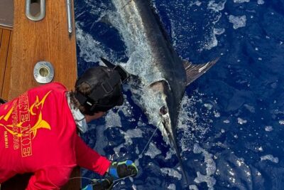 Kona Hawaii Per Person Shared Fishing with Bite Me Sportfishing - On the Water With the Captain and Crew: How You Actually Learn
