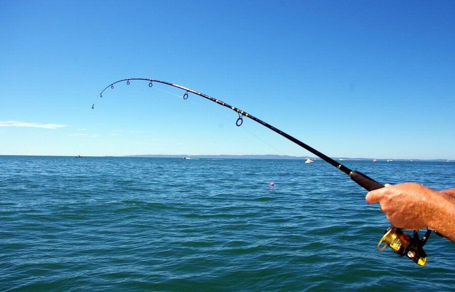 Kos: Fishing Trip Experience with a Greek Fisherman's Family - Key things to know before you go