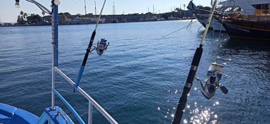 Kos: Fishing Trip Experience with a Greek Fisherman's Family - Price and Value: Why $56 for 3 Hours Can Be a Good Deal