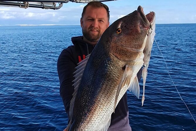 Kotor Private Fishing Adventure Blue Cave And Lunch - Mamula Fortress fishing stop: what you’re really paying for