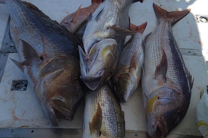 Kotor Private Fishing Adventure Blue Cave And Lunch - Blue Cave fishing stop: aiming for the biggest catch