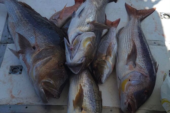 Kotor Private Fishing Adventure Blue Cave And Lunch - Price and logistics: is $241.86 worth it?