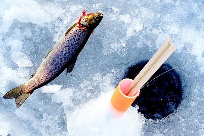 Lakeside Sauna Trip with Ice Fishing and Ice Swimming - Price and Value: Is $196 Reasonable?
