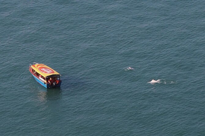 Lantau Group Tour: Dolphin Watching, Fishing Village & Cable Car - Ngong Ping 360 Group Entry: the fastest way up Tung Chung