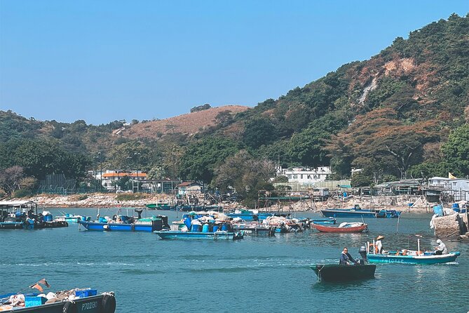Lantau Group Tour: Dolphin Watching, Fishing Village & Cable Car - Po Lin Monastery vegetarian lunch: food break plus cultural grounding