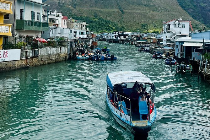 Lantau Group Tour: Dolphin Watching, Fishing Village & Cable Car - Who should book this Lantau tour