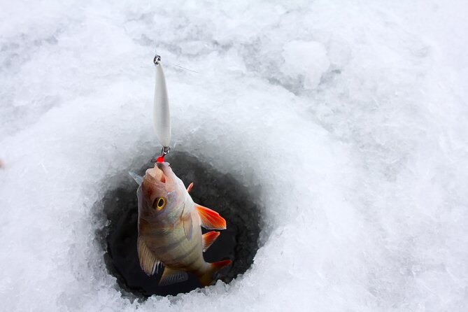 Lapland Ice Fishing Experience from Rovaniemi - Walking the Arctic Forest and Snowshoes: The Calm Start
