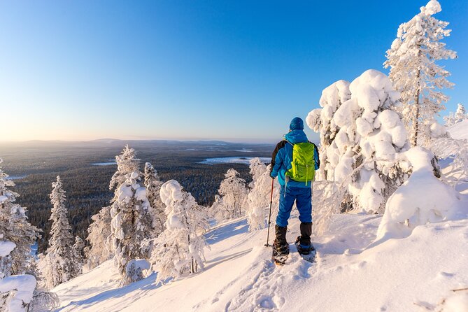 Lapland Ice Fishing Experience from Rovaniemi - Price and Value: What $119.09 Buys You (and Why It’s More Than Fishing)