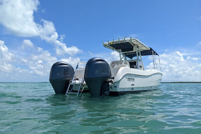 Let it Ride Charters - Private Fishing Charter Adventure in Key Largo, FL - A Private 8-Hour Charter in Key Largo You Actually Control