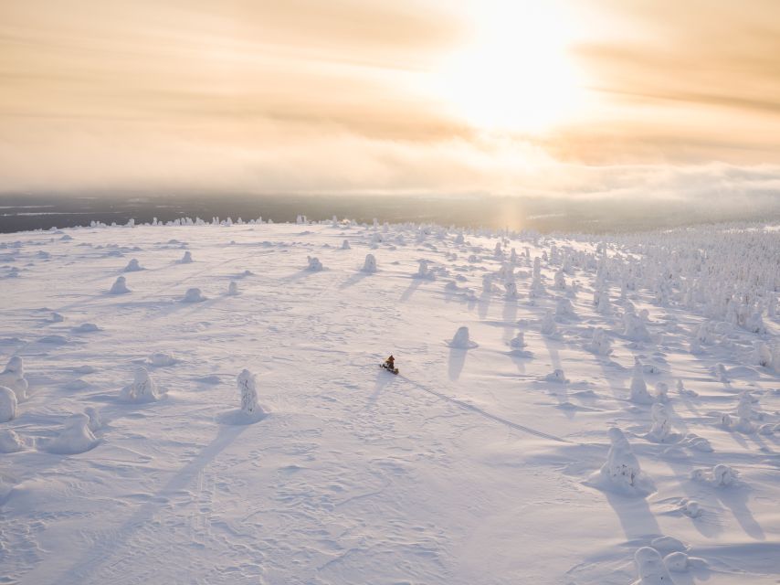 Levi: Ice Fishing by Snowmobile - The arctic forest trail: views, pace, and photo reality