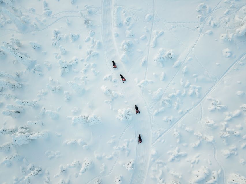 Levi: Snowmobile Safari with Ice Fishing and Outdoor Lunch - Key highlights