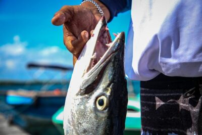 Local Fishing Plus Snorkeling Tour in Isla Mujeres - The 4-hour rhythm: fishing (2 hours) then snorkeling (~90 minutes)