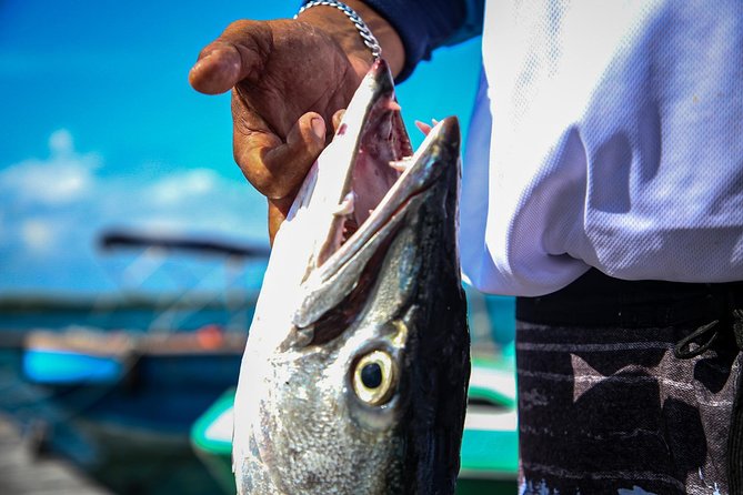 Local Fishing Plus Snorkeling Tour in Isla Mujeres - The 4-hour rhythm: fishing (2 hours) then snorkeling (~90 minutes)