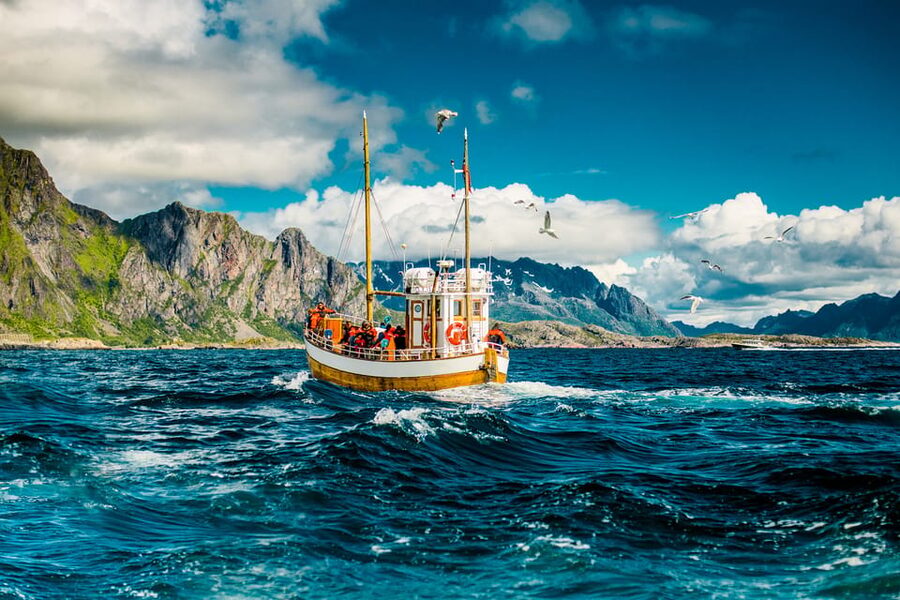 Lofoten: Traditional Fishing Trip - Key Things I’d Pay Attention To