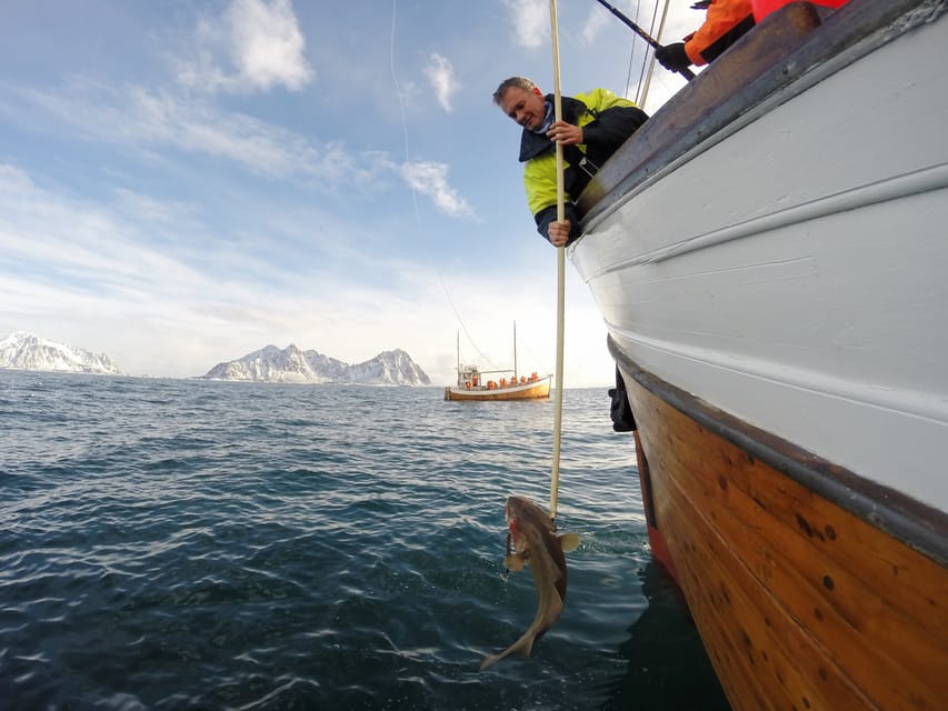 Lofoten: Traditional Fishing Trip - Catching Your Own Fish on MS Symra in Lofoten