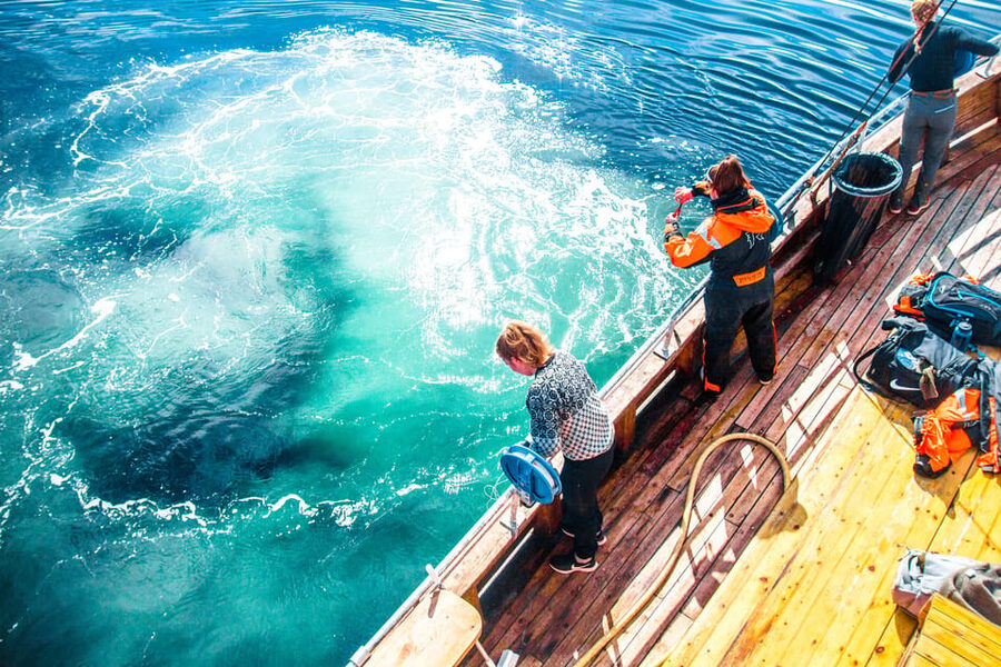 Lofoten: Traditional Fishing Trip - Fillet Lesson Onboard: Turning Your Catch into Lunch