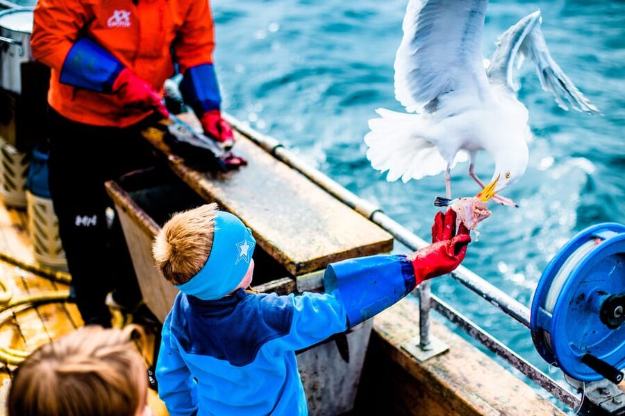 Lofoten: Traditional Fishing Trip - Group Size and the Crew Stories That Make It Feel Like Life