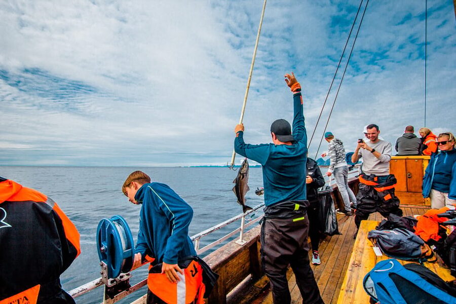 Lofoten: Traditional Fishing Trip - Price and Value: What $146 Gets You (and What It Doesn’t)