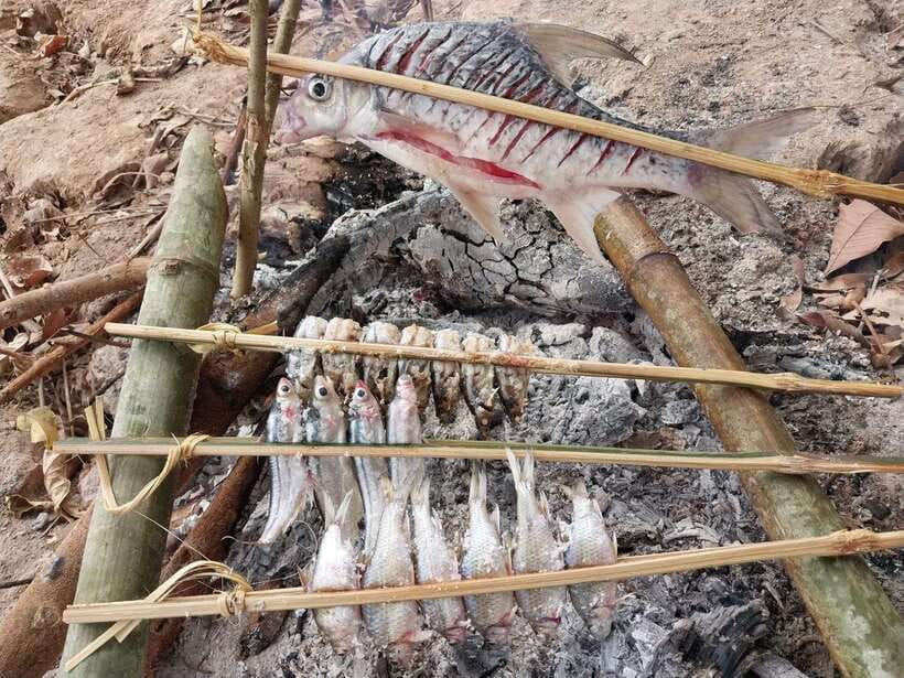 Luang Prabang: Mekong Fishing with a Local Fisherman & Lunch - Key things to know before you go