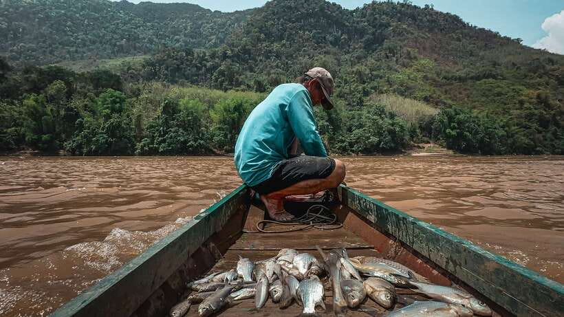 Luang Prabang: Mekong Fishing with a Local Fisherman & Lunch - Learning Mekong fishing methods from a lifetime fisher