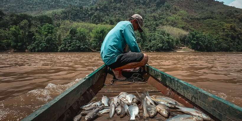 Luang Prabang: Mekong Fishing with a Local Fisherman & Lunch - Price and value: is $69 worth it?