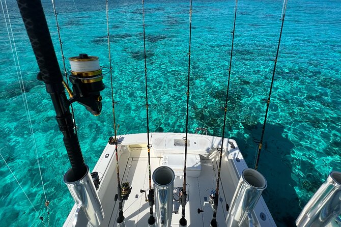 Luxury Private Fishing Charters - FULL DAY CHARTER - Fresh ceviche and tuna filets: when the catch becomes the best part