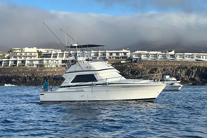 Macaronesia Charter Fishing in Lanzarote (Canary Islands) - Key highlights you’ll feel on day one
