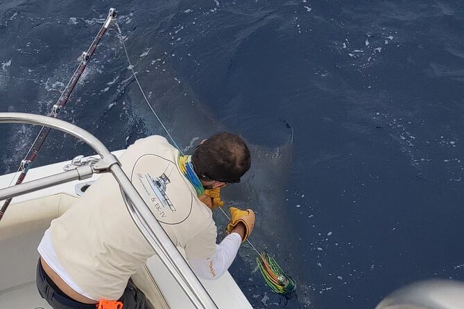 Macaronesia Charter Fishing in Lanzarote (Canary Islands) - The 8-hour plan: what the day feels like on the water