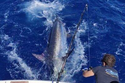 Macaronesia Charter Fishing in Lanzarote (Canary Islands) - When the sea gets rough, Enrique’s approach keeps the odds up