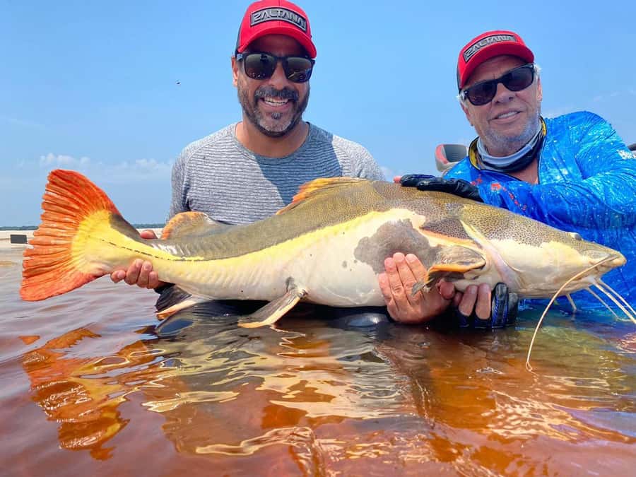 Manaus : A day of fishing on the Rio Negro - Key things I’d plan around before you go