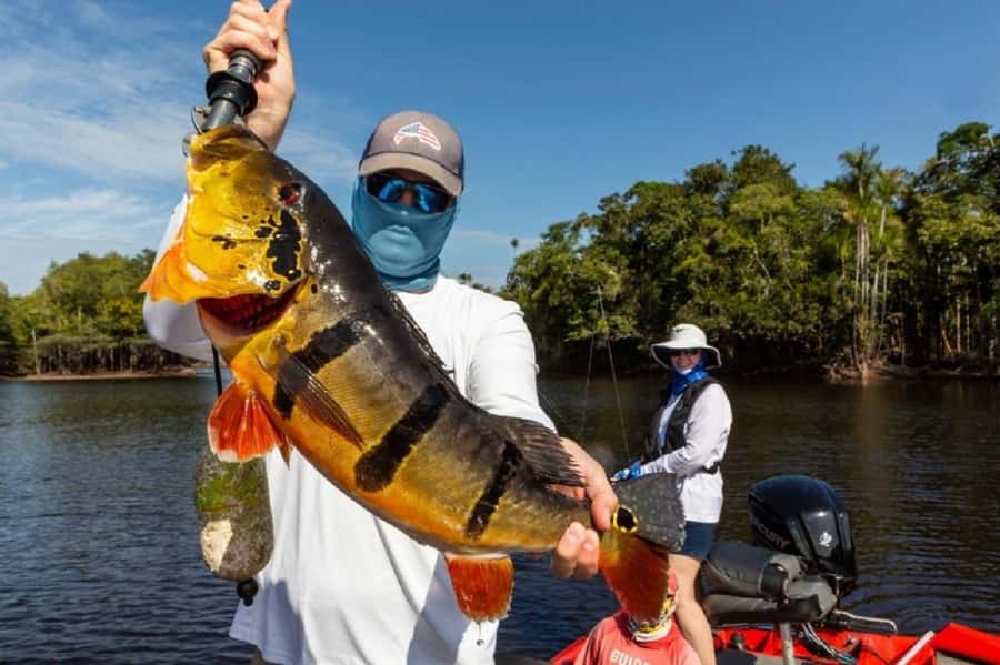 Manaus : A day of fishing on the Rio Negro - Morning boat ride and your first fishing chances
