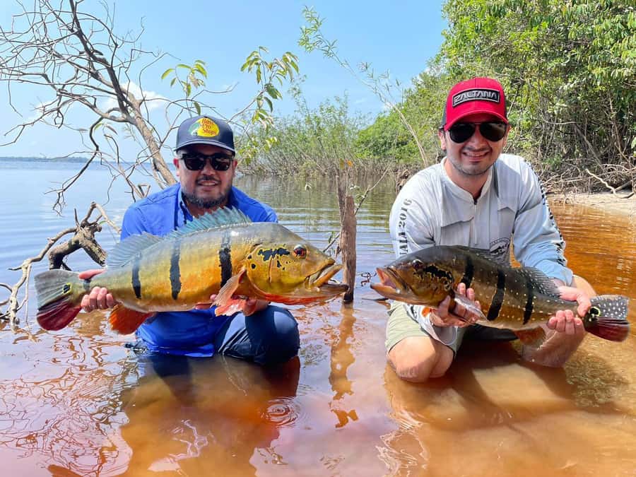 Manaus : A day of fishing on the Rio Negro - Afternoon fishing: what success usually looks like