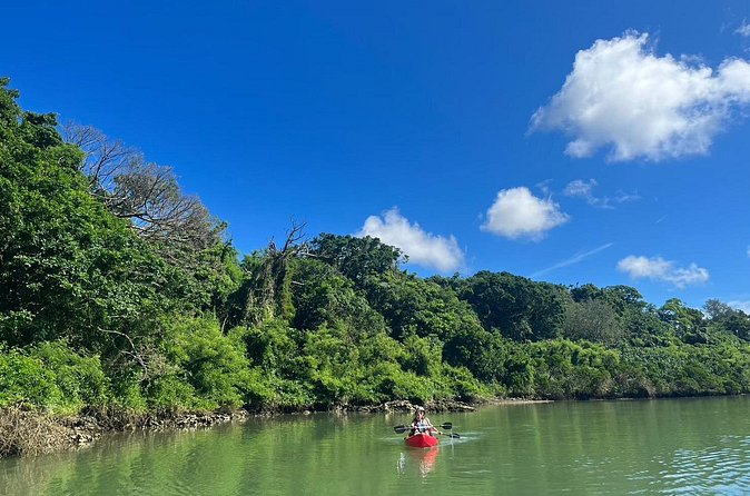 Mangrove Kayak & Sea Fishing Experience in Okinawa - Price and Value: Is $63.74 Worth It?