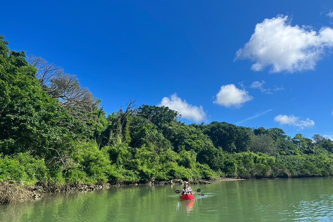 Mangrove Kayak & Sea Fishing Experience in Okinawa - Timing, Weather, and Group Size: The Practical Stuff That Makes or Breaks