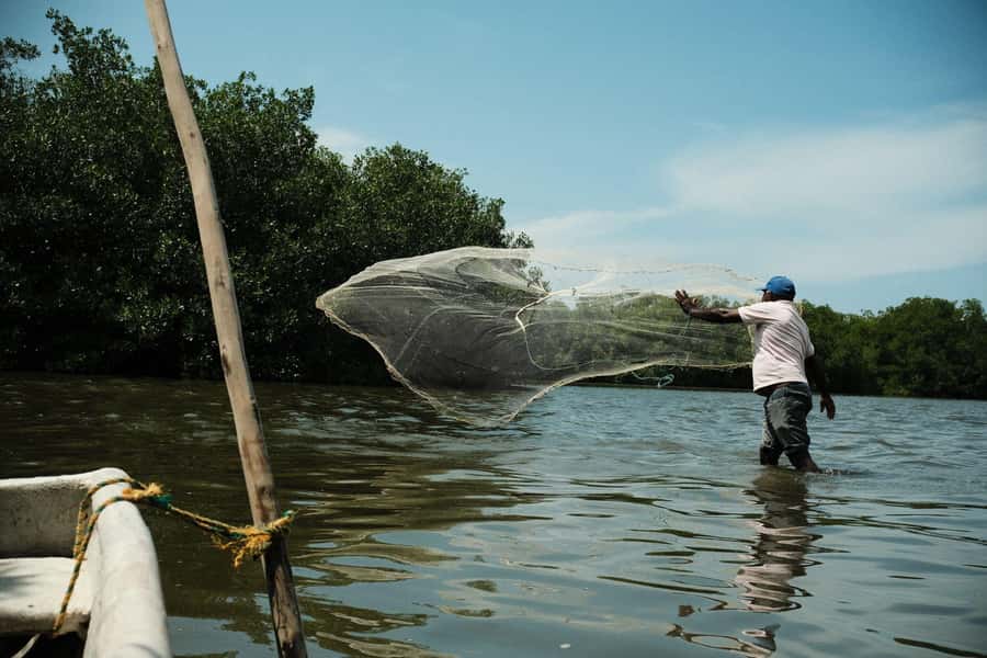 Mangroves, cultural fishing, black heritage town and lunch - Getting to La Boquilla: the easy start from Favipan Crespo