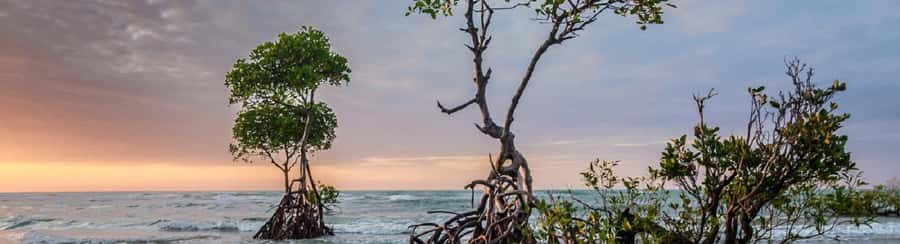 Mangroves, cultural fishing, black heritage town and lunch - La Boquilla’s black heritage town: what you’ll notice beyond the photos