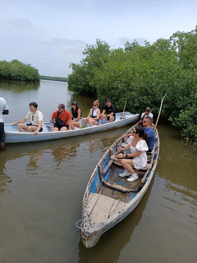 Mangroves, cultural fishing, black heritage town and lunch - Timing and group vibe: 3 hours goes fast, in a good way