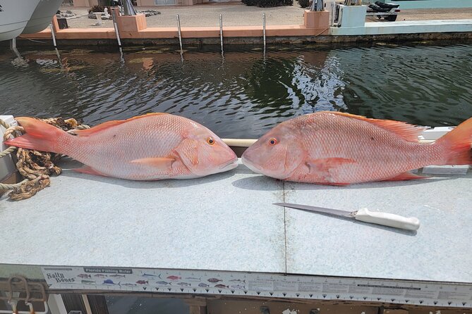 Marathon Florida Keys Fishing Experience - Marathon Florida Keys Fishing: what you’re really signing up for