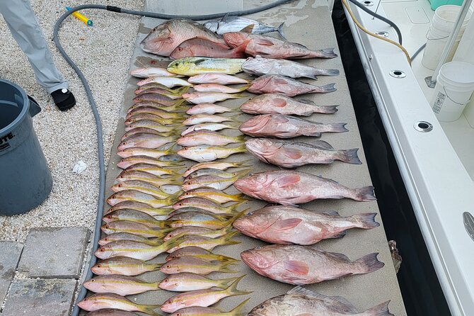 Marathon Florida Keys Fishing Experience - Nearshore fishing around Marathon: Atlantic or Gulf, and why it changes the hunt