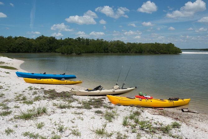Marco Island Inshore Fishing Charters - Marco Island Inshore Fishing: Key Highlights You’ll Care About
