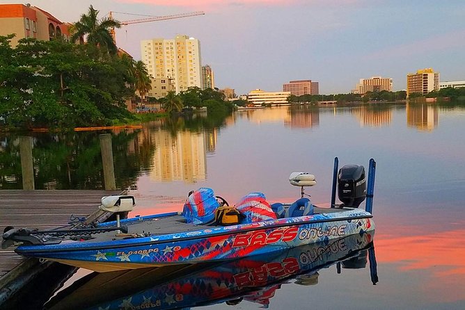 Miami Airport Lakes Peacock Bass Fishing Trip (1 to 4 ppl) - Peacock Bass Near Miami: Why This Water Beats “Just Go FISH”