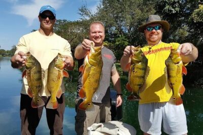 Miami Airport Lakes Peacock Bass Fishing Trip (1 to 4 ppl) - Price for Up to 4: What $649 Really Means