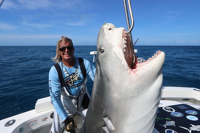 Miami Big Game Deep Sea Fishing Charter - Underwater cameras: seeing the action from below (and why it helps)