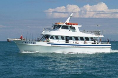Miami Half Day Deep Sea Fishing Trip from Bayside Marketplace - Day vs night deep sea fishing: picking the right vibe