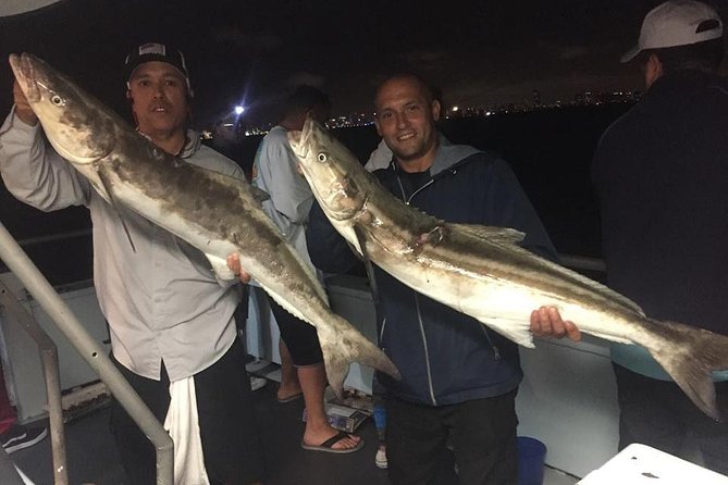 Miami Half Day Deep Sea Fishing Trip from Bayside Marketplace - Price and value: is $80 a good deal?