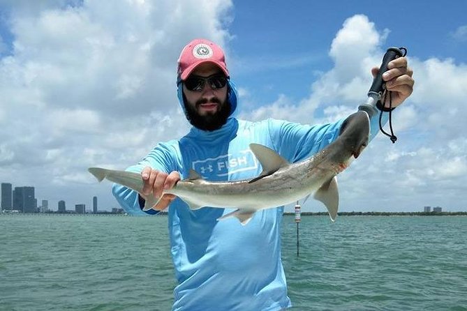Miami Inshore Fishing Charters on Biscayne Bay - American Airlines Arena and Bayfront Park: the easy break points