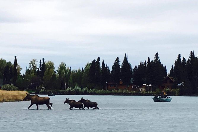 Middle Kenai River Full-Day Fishing Trip - Timing and logistics: parking, location, and getting there on time