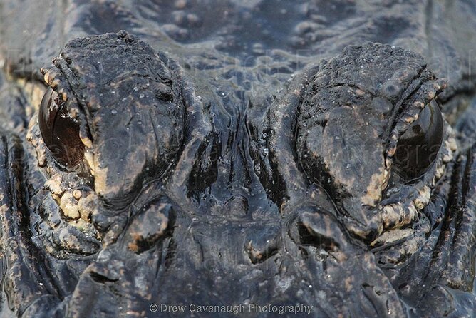 Mosquito Lagoon Sight Fishing Charters Near Orlando Florida - Mosquito Lagoon Sight Fishing: Why This Charter Fits Here