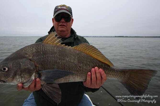 Mosquito Lagoon Sight Fishing Charters Near Orlando Florida - A 4-Hour Trip That Feels Like You’re Always in the Game
